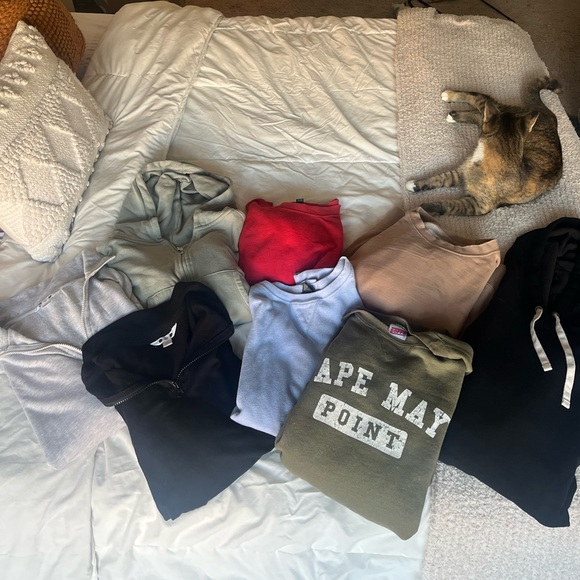 SWEATSHIRT BUNDLE - cat not included :) - Picture 1 of 4